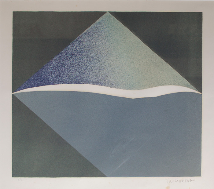  Composição em cinza.     