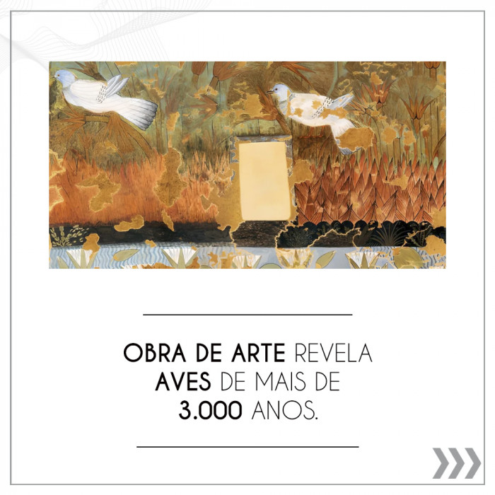 Obra de arte revela aves de mais de 3.000 anos.