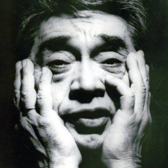 Conheça Aldemir Martins